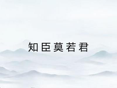 知臣莫若君