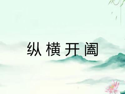 纵横开阖