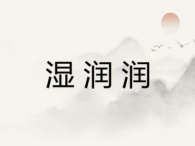 湿润润