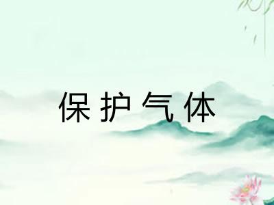 保护气体