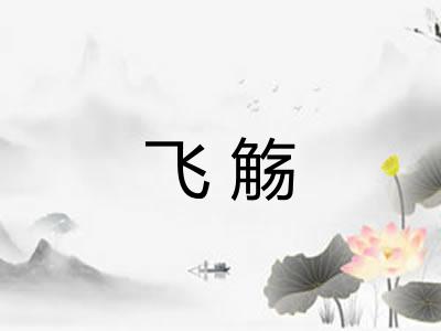 飞觞