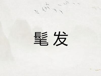 髦发