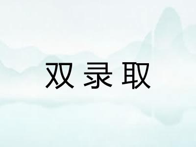 双录取