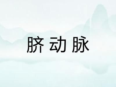 脐动脉
