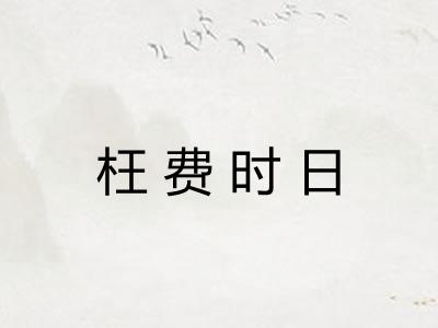 枉费时日