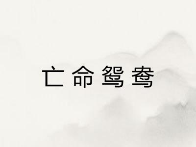 亡命鸳鸯