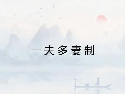 一夫多妻制