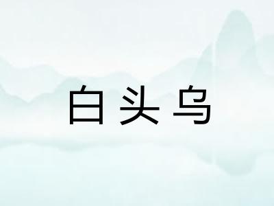 白头乌