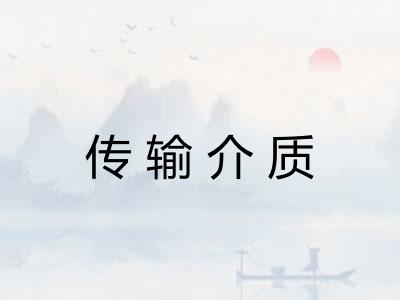 传输介质