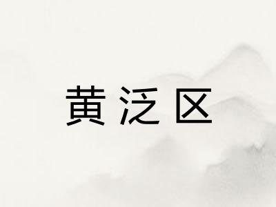 黄泛区