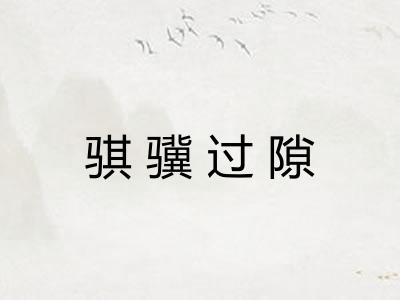 骐骥过隙