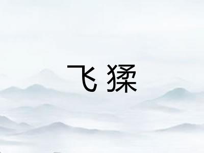 飞猱