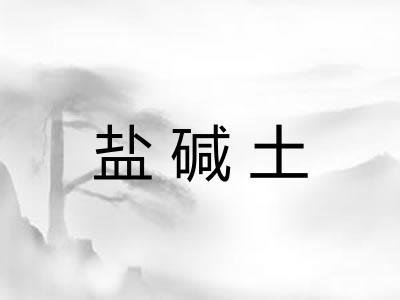 盐碱土