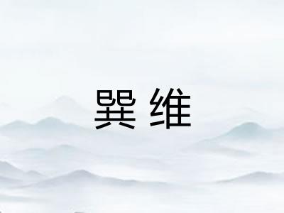 巽维
