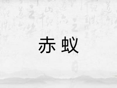 赤蚁