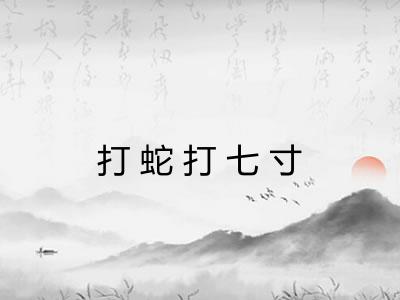 打蛇打七寸