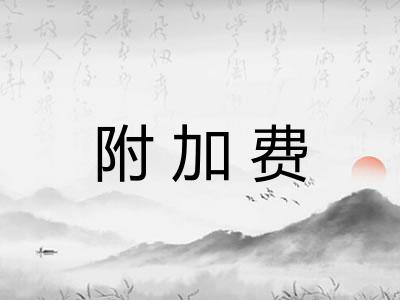 附加费