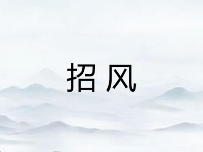 招风