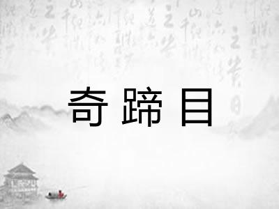 奇蹄目
