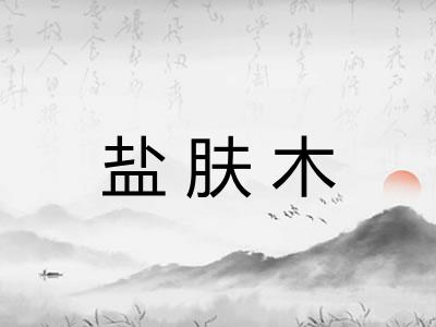 盐肤木