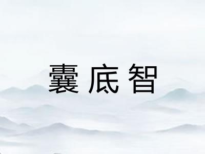 囊底智