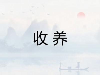 收养
