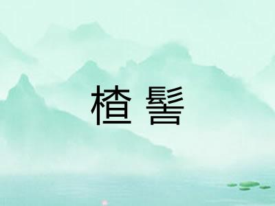 楂髻