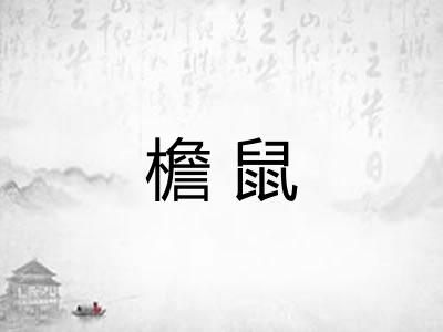 檐鼠