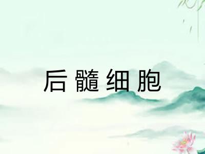 后髓细胞