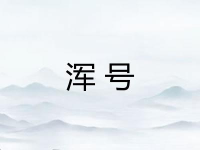 浑号