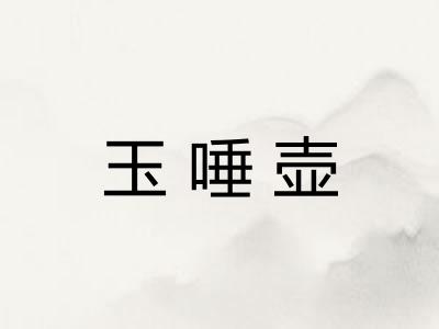 玉唾壶