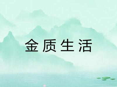 金质生活