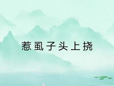 惹虱子头上挠