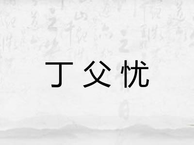 丁父忧