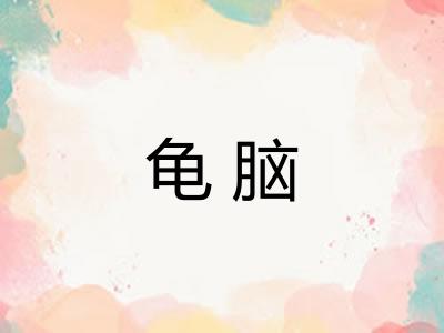 龟脑