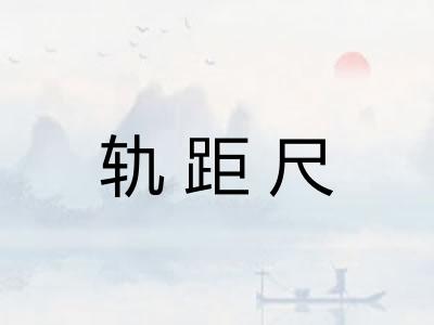 轨距尺