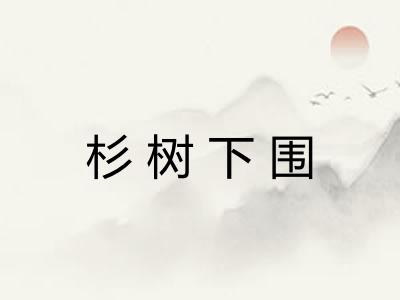 杉树下围