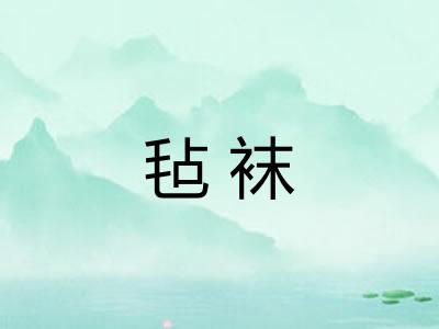 毡袜