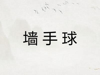 墙手球