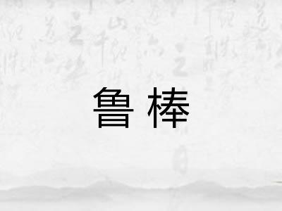 鲁棒