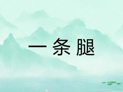 一条腿