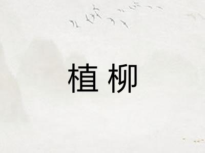 植柳