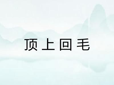 顶上回毛