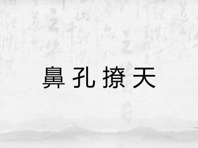 鼻孔撩天