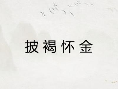 披褐怀金