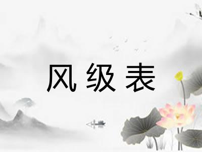 风级表