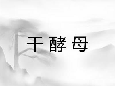 干酵母