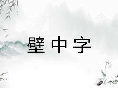 壁中字