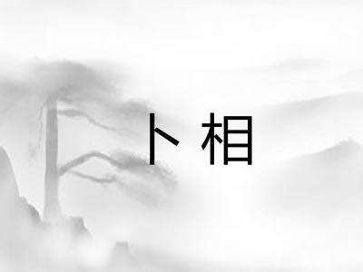 卜相