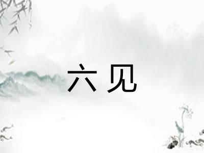 六见